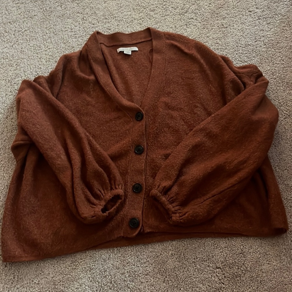 Size Large American Eagle sweater